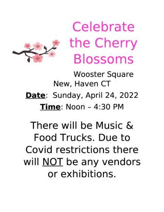 Cherry Blossom Festival at Wooster Square