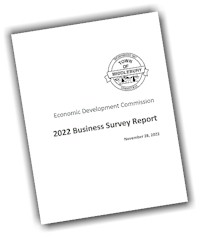 Business Survey